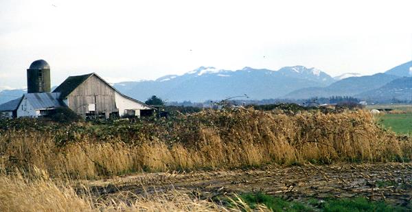 scan0095.jpg